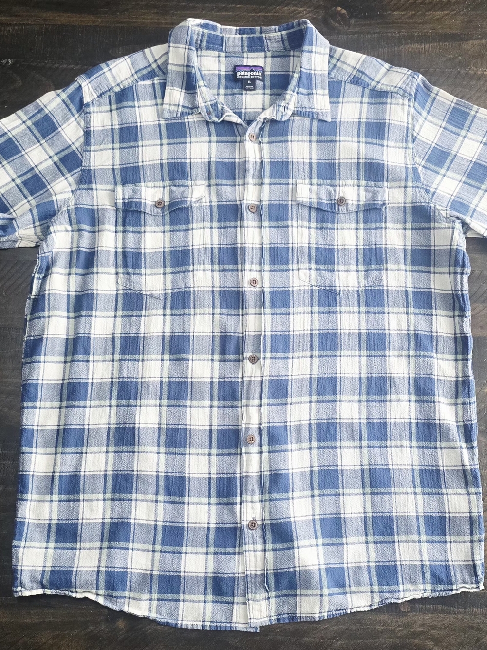 Patagonia Men’s Blue and White Plaid Button-Up Shirt